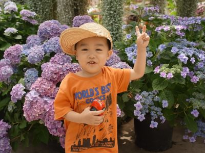 RICCA HAIR 梅田中崎 6月の日程 花鳥園 紫陽花