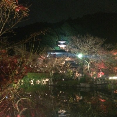 中崎町 美容室 RICCA 紅葉 永観堂