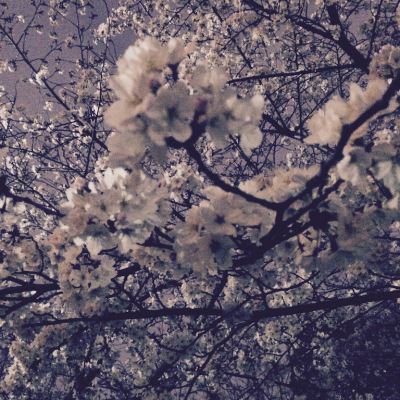 中崎町 美容室 RICCA 桜 天満橋