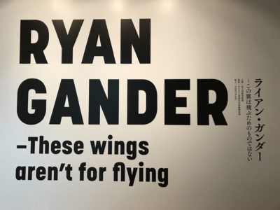 ライアン・ガンダー展